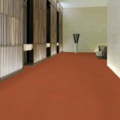 Color Accents Wall to Wall Carpet, West Los Angeles Carpet Showroom