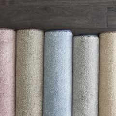 Muse, Atelier Marquee Collection by Stanton Carpet, the softest carpet ever
